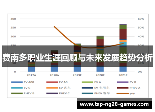 费南多职业生涯回顾与未来发展趋势分析