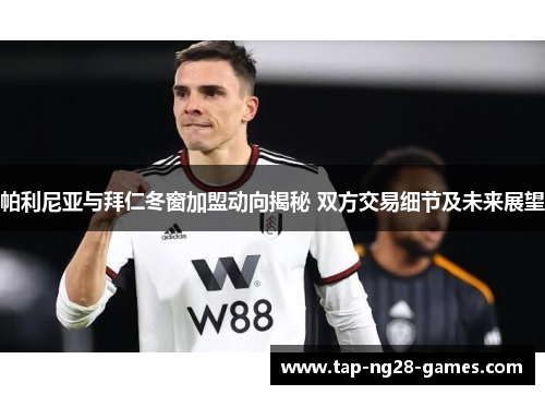 帕利尼亚与拜仁冬窗加盟动向揭秘 双方交易细节及未来展望