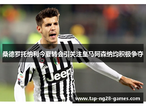 桑德罗托纳利今夏转会引关注皇马阿森纳均积极争夺