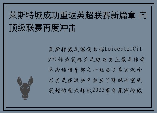 莱斯特城成功重返英超联赛新篇章 向顶级联赛再度冲击